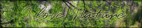 Banner_Nature